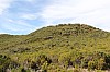 3171.jpg 3171.jpg
