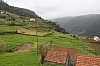 3185.jpg 3185.jpg
