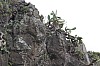 3286.jpg 3286.jpg