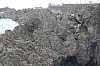 3371.jpg 3371.jpg