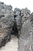 3372.jpg 3372.jpg