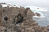 3378.jpg 3378.jpg