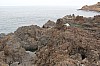 3385.jpg 3385.jpg