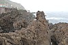 3387.jpg 3387.jpg
