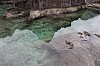 3401.jpg 3401.jpg