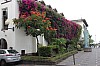 3591.jpg 3591.jpg