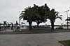 3595.jpg 3595.jpg