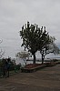 3622.jpg 3622.jpg