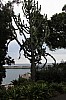 3633.jpg 3633.jpg