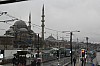 4482.jpg 4482.jpg
