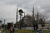 4519.jpg 4519.jpg