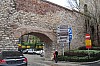 4529.jpg 4529.jpg