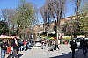4555.jpg 4555.jpg
