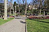 4565.jpg 4565.jpg