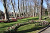 4570.jpg 4570.jpg