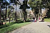 4574.jpg 4574.jpg