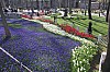4577.jpg 4577.jpg