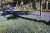 4578.jpg 4578.jpg
