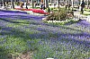 4580.jpg 4580.jpg