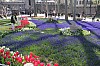 4581.jpg 4581.jpg