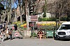 4583.jpg 4583.jpg