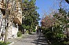 4592.jpg 4592.jpg