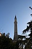 4594.jpg 4594.jpg