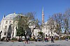 4629.jpg 4629.jpg