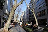 4731.jpg 4731.jpg
