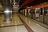8168.jpg 8168.jpg