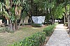 7398.jpg 7398.jpg