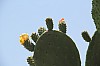7961.jpg 7961.jpg
