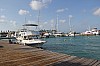 8241.jpg 8241.jpg