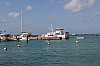 8243.jpg 8243.jpg