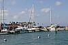 8244.jpg 8244.jpg
