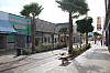 8305.jpg 8305.jpg