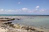 8402.jpg 8402.jpg
