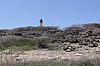 8471.jpg 8471.jpg
