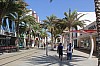 8516.jpg 8516.jpg