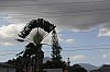 8931.jpg 8931.jpg