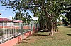 8942.jpg 8942.jpg