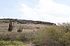 9218.jpg 9218.jpg
