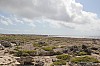9246.jpg 9246.jpg