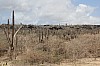 9425.jpg 9425.jpg