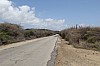 9451.jpg 9451.jpg