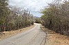 9579.jpg 9579.jpg