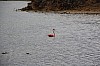 9639.jpg 9639.jpg