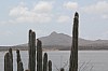 9675.jpg 9675.jpg