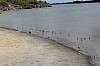 9690.jpg 9690.jpg