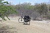 9745.jpg 9745.jpg